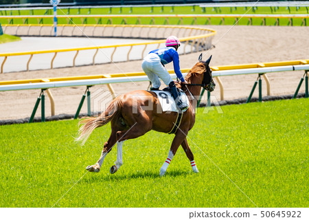 Horse race 50645922