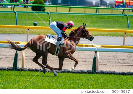 Horse race Horse race 50645927