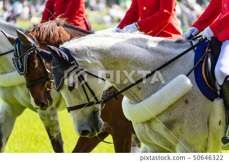 白馬 白馬 50646322