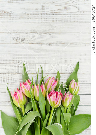 Pink tulips bouquet Pink tulips bouquet 50646724