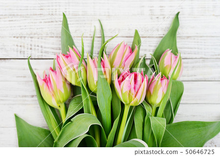 Pink tulips bouquet Pink tulips bouquet 50646725