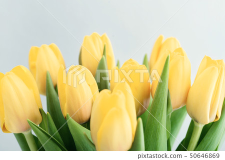 Bouquet of yellow tulips Bouquet of yellow tulips 50646869