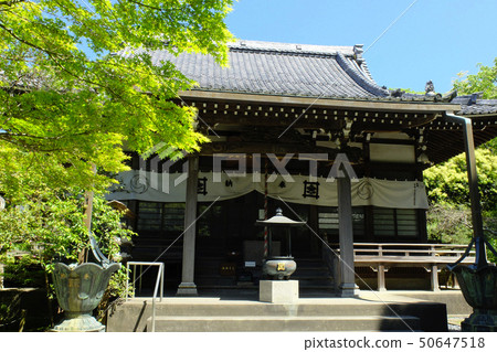 [鎌倉] Ankuronji寺 50647518