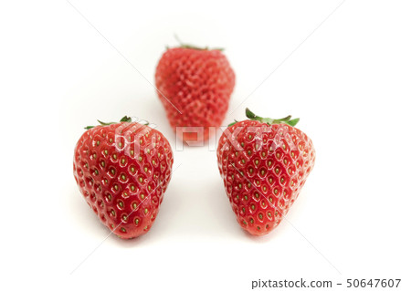 【strawberry】 【strawberry】 50647607