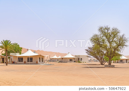 Wahhiba Desert (Oman, Wajiva Sands) 50647922