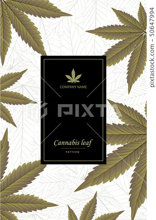 Canaabis or marijuana leaves pattern golden foil. 50647994