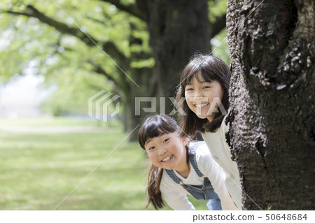 Children show their faces from behind the tree 50648684