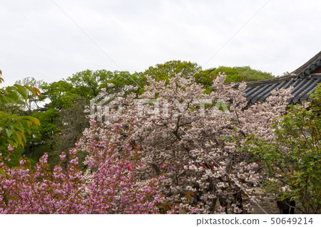 Changwon, Seosan-si, Chungnam 50649214