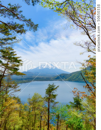 來自本莊湖的富士山 50650338