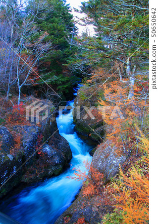 Ryuto No Taki(栃木縣,日光市) Ryuto No Taki(栃木縣,日光市) 50650642