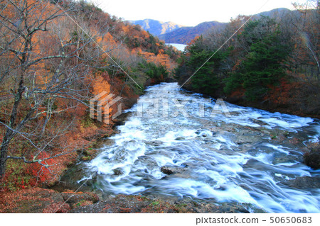 Ryuto No Taki（栃木縣，日光市） 50650683
