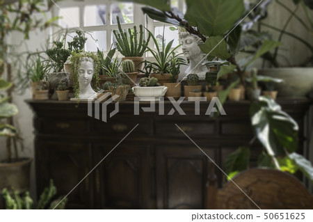 Decoration living room interior style green eco Decoration living room interior style green eco 50651625