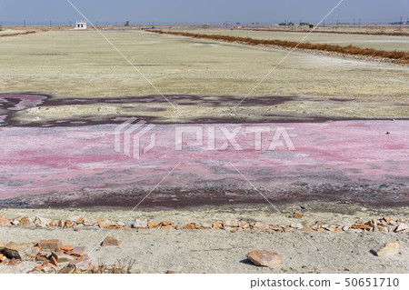 Pink salt at Sambhar Salt Lake. India 50651710