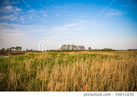 Beauty of Jeju Island Beauty of Jeju Island 50651830