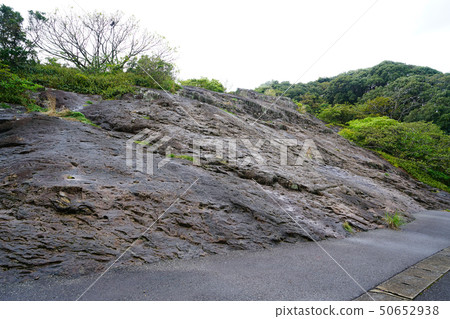 Sea of Cruz Miyazaki Prefecture 50652938