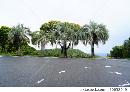 宮崎海域 宮崎海域 50652949