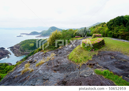 Sea of Cruz Miyazaki Prefecture Sea of Cruz Miyazaki Prefecture 50652959