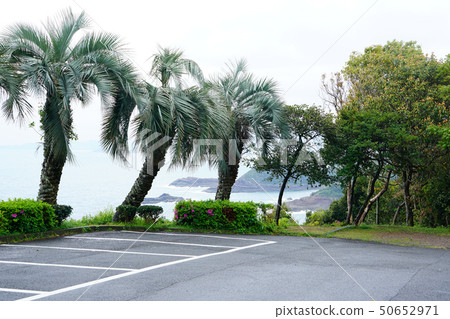 Sea of Cruz Miyazaki Prefecture Sea of Cruz Miyazaki Prefecture 50652971