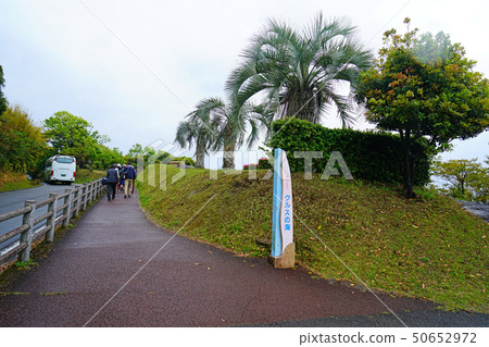 Sea of Cruz Miyazaki Prefecture 50652972