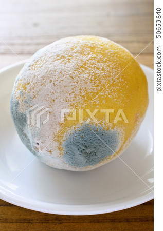 藍黴檸檬 藍黴檸檬 50653840