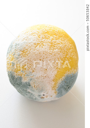 藍黴檸檬 50653842