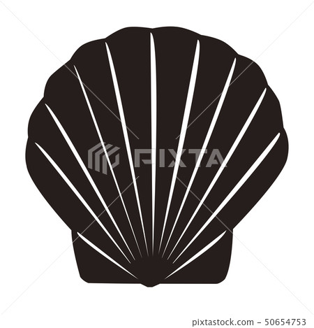 scallop 50654753