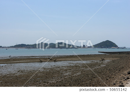 京畿道安山市潭東港 50655142