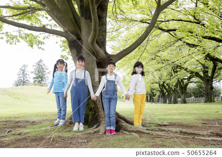 Children holding hands in front of a big tree Children holding hands in front of a big tree 50655264