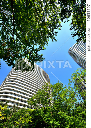 Minato Mirai fresh green and high-rise apartment 50655307