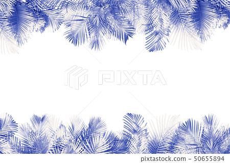 top view palm leaves tree for summer background top view palm leaves tree for summer background 50655894