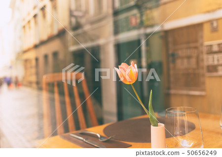 Tulip in a vase on the cafe table Tulip in a vase on the cafe table 50656249