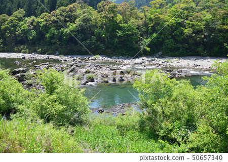 Middle Shimanto River basin in early summer 50657340