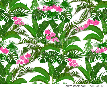 Green tropical leaves of banana, coconut, monstera and ogawa, Pink orchid. Seamless illustration Green tropical leaves of banana, coconut, monstera and ogawa, Pink orchid. Seamless illustration 50658165