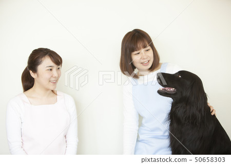 寵物 50658303