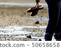 A beach lady 50658658