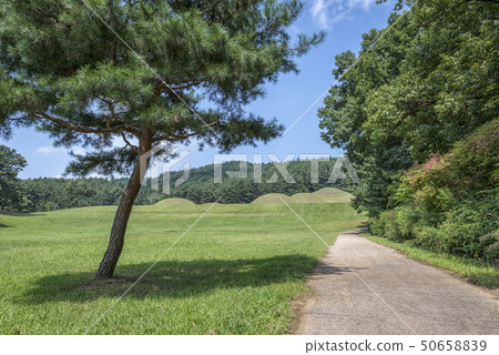 Bongsan-ri, Yeongsan-gun, Chungcheongnam-do, Chungcheongnam-do Bongsan-ri, Yeongsan-gun, Chungcheongnam-do, Chungcheongnam-do 50658839