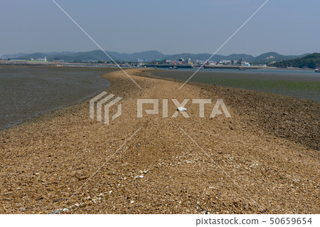 Tandong Port, Ansan City, Gyeonggi-do Tandong Port, Ansan City, Gyeonggi-do 50659654