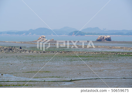 京畿道安山市潭東港 京畿道安山市潭東港 50659675