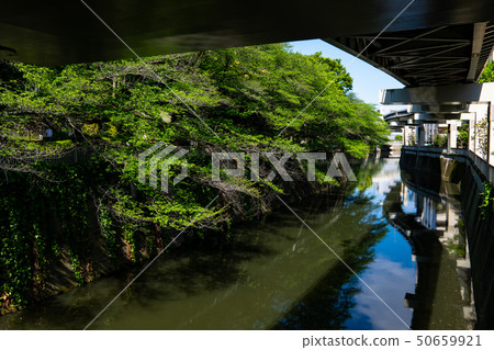 大都會高速公路，在大都會高速公路的新鮮綠色和河流五大運行，早稻田出口a 50659921