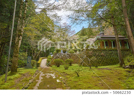 Tsuwano Otome Otomari basilica of Shimane (small Kyoto in San-in) Tsuwano Otome Otomari basilica of Shimane (small Kyoto in San-in) 50662230