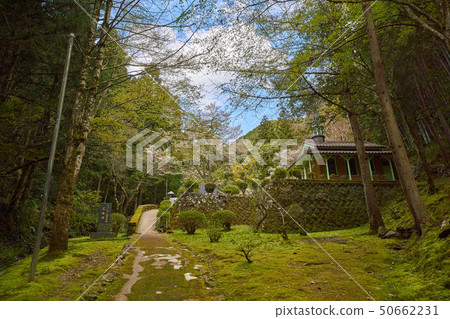 Tsuwano Otome Otomari basilica of Shimane (small Kyoto in San-in) Tsuwano Otome Otomari basilica of Shimane (small Kyoto in San-in) 50662231
