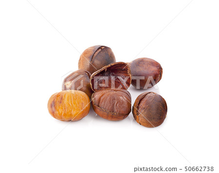 chestnut isolated on white background chestnut isolated on white background 50662738