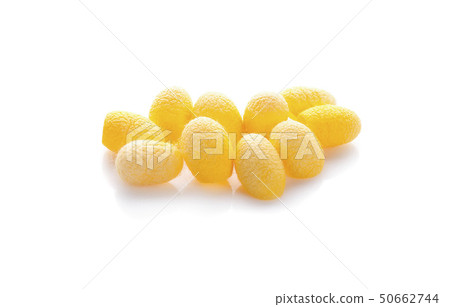 yellow thai silkworm cocoons pile isolated on yellow thai silkworm cocoons pile isolated on 50662744