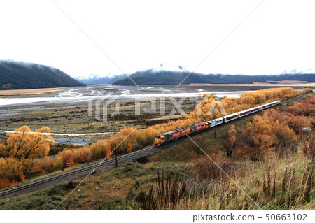 tranalpine train 50663102