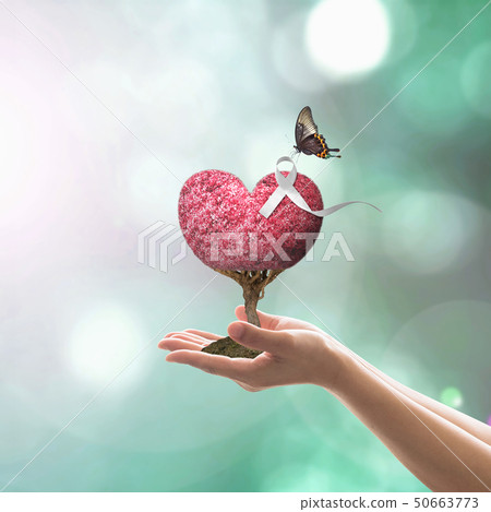 International Day for the Elimination of Violence International Day for the Elimination of Violence 50663773
