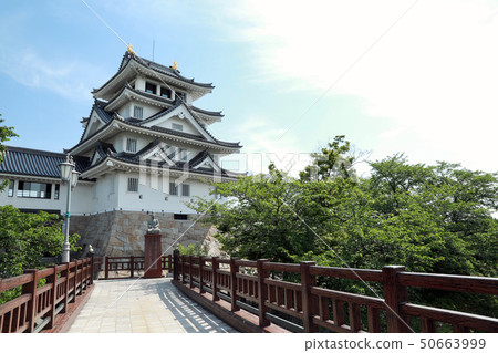 One night castle (Gifu prefecture) 50663999