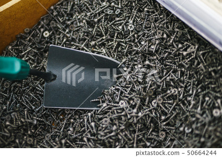 Metal shovel, pours a lot of black small screws for repair and fasteners in the box close-up. 50664244