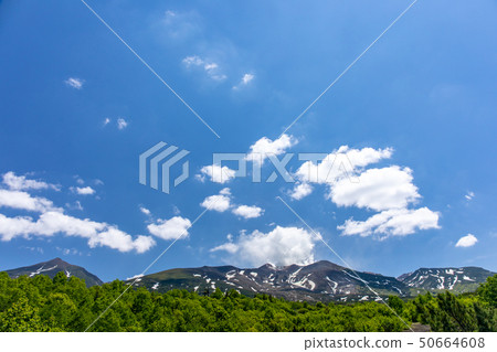 Beautiful scenery of Hokkaido 50664608