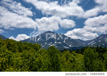 Beautiful scenery of Biei Hokkaido Beautiful scenery of Biei Hokkaido 50664609