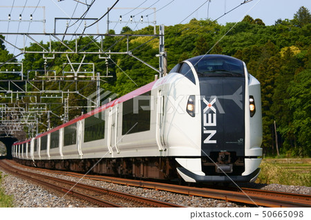 Limited Express Narita Express through the tunnel Limited Express Narita Express through the tunnel 50665098